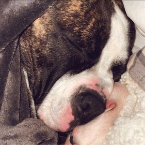 Meet your Posher, Hunter